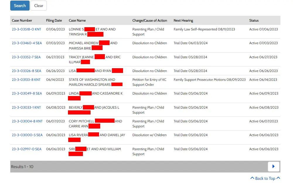 A screenshot of the Records Access Portal domestic case type search results showing the list of case numbers, filing dates, case names, charges/cause of action, next hearing date, and the case status.
