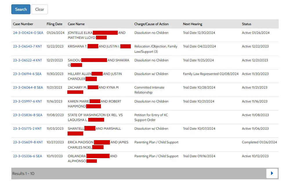 Screenshot of the dissolution records search results listing the case numbers, titles, filing dates, charges, next hearing dates, and status.