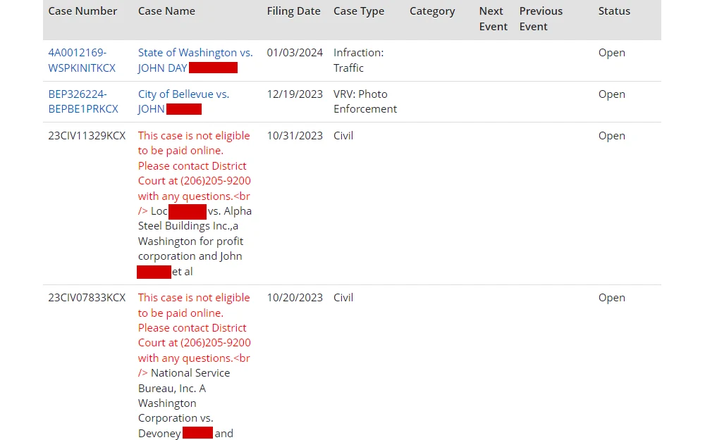 A screenshot of the search results for payment showing the case number, name, filing date, and status.